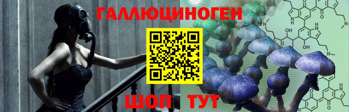 Псилоцибиновые грибы мухоморы Будённовск